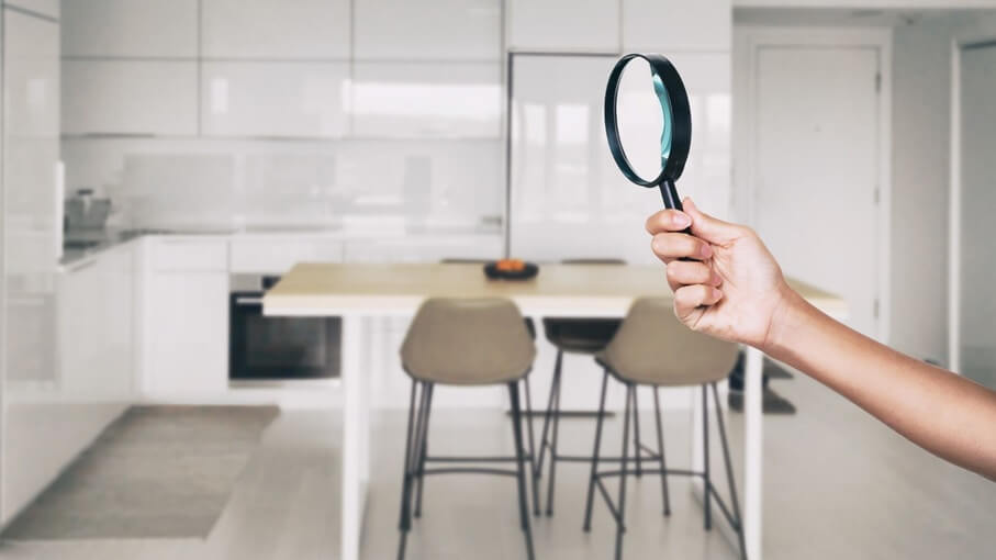 What to Expect During a Professional Mold Inspection?
