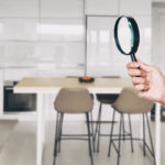 Professional Mold Inspection