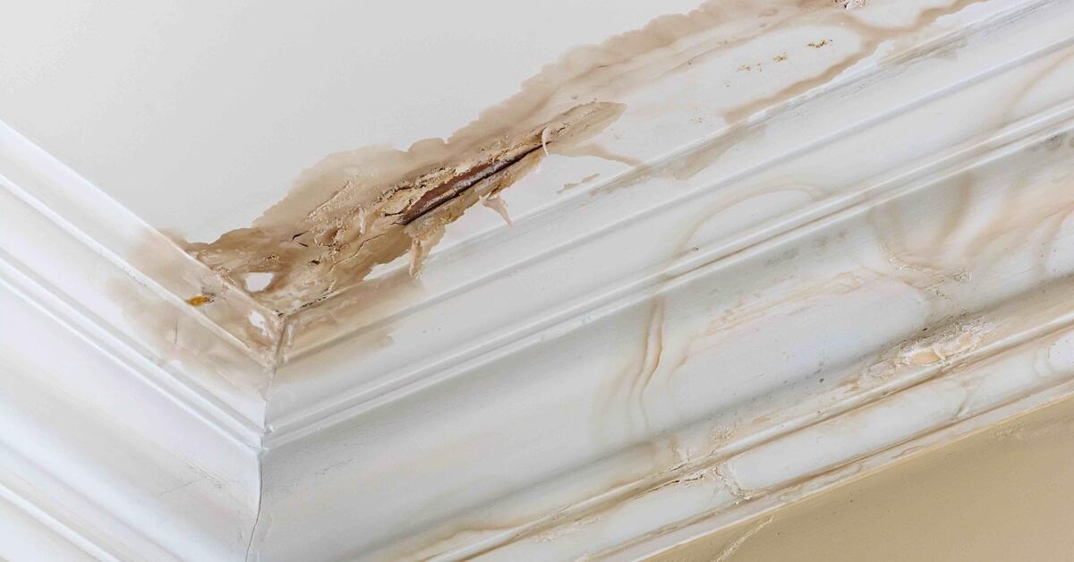 Water Damage Checklist (What you should do not immediately)