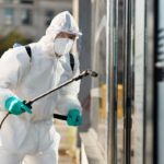 The Importance of Regular Pest Inspections for Brisbane Properties