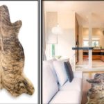 Do cowhide rugs have different styles