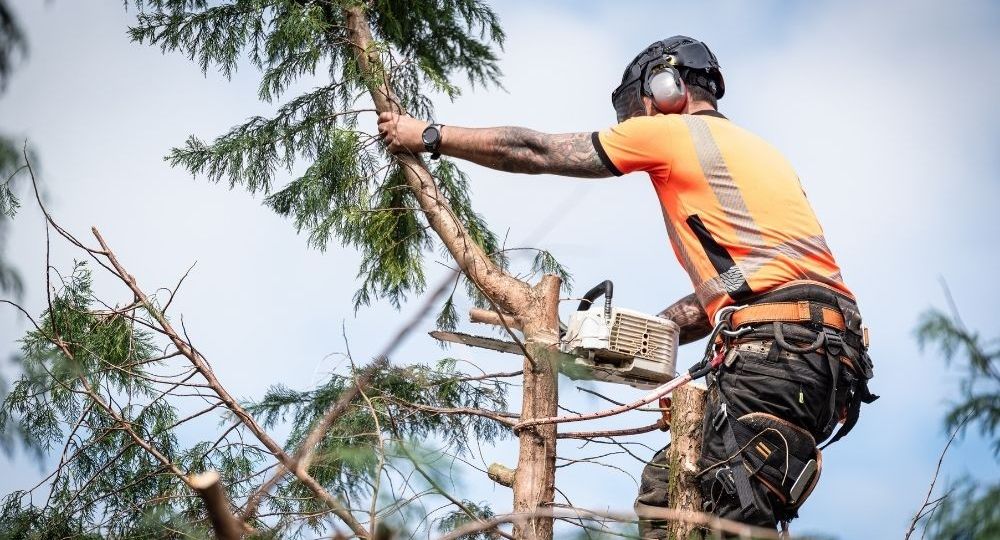 article_32483842_gallery_1775207691551